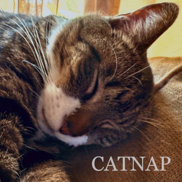 Catnap single cover: Pawmadeus asleep, with the word Catnap across the bottom